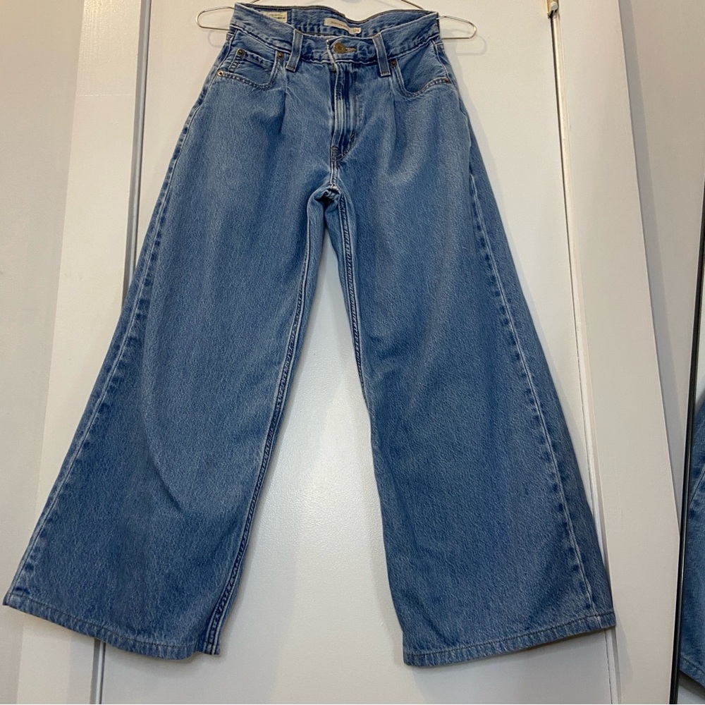 Levi's Cropped Baggy Dad Wide Leg Pleated Women’s jeans